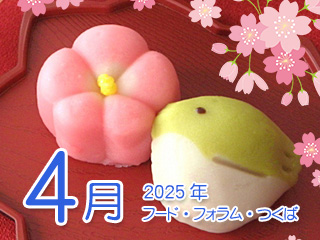 2025N4 t[htH