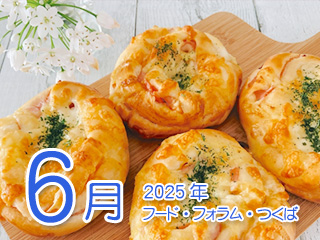2025N6 t[htH