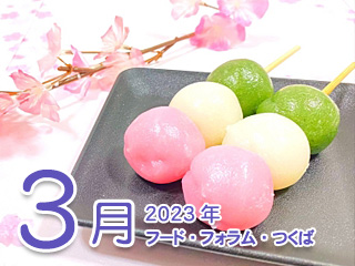 2023N3 t[htH