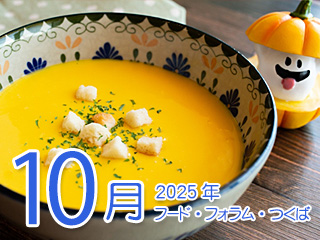 2025N10 t[htH